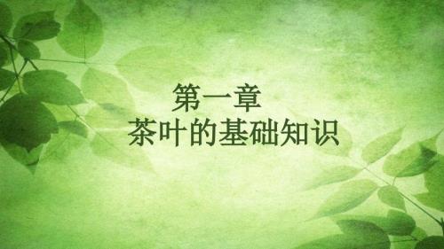 茶叶的基础知识.ppt