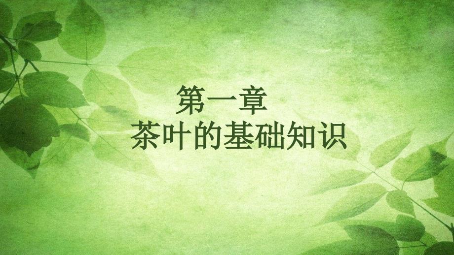 茶叶的基础知识.ppt_第1页