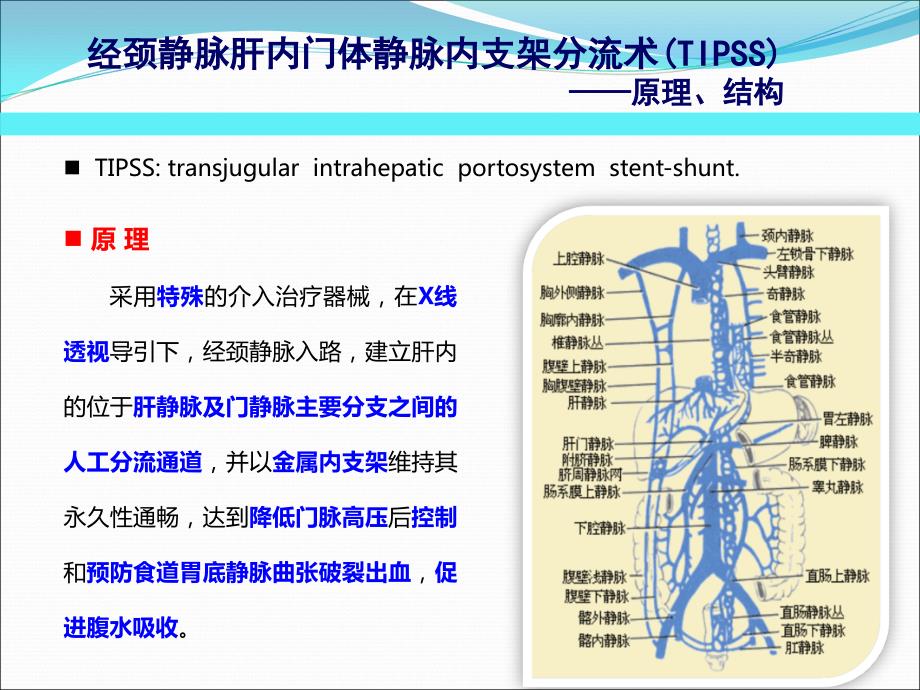 经颈静脉肝内门体分流术TIPS的护理.ppt_第3页
