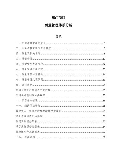 阀门项目质量管理体系分析参考.docx