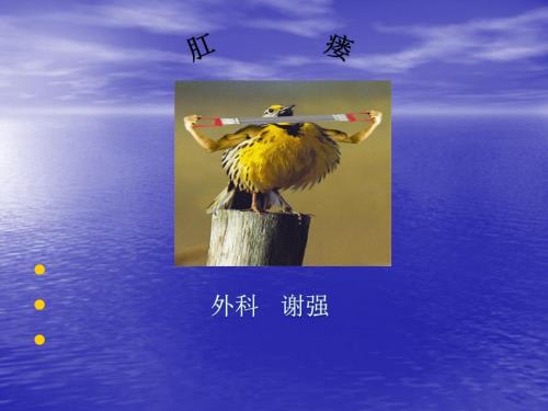 肛瘘PPT课件.ppt