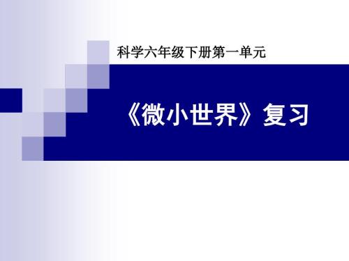 科学六下第一单元微小世界复习.ppt