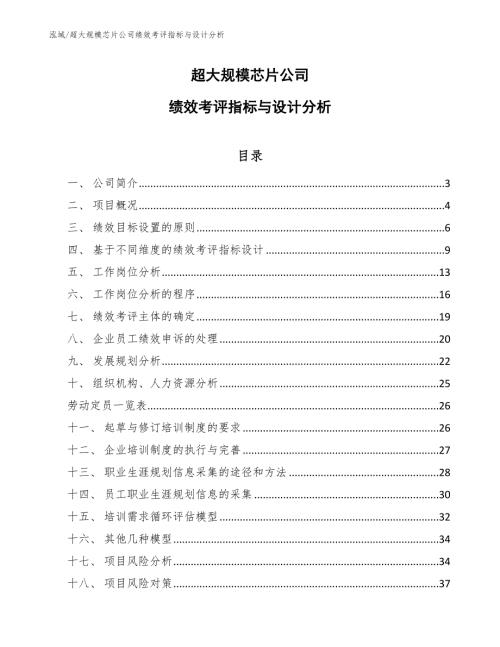超大规模芯片公司绩效考评指标与设计分析.docx