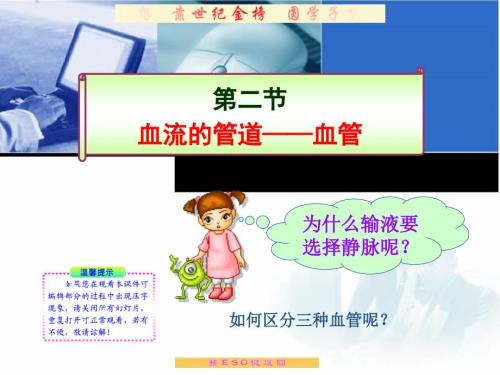 血流的管道血管PPT课件.ppt