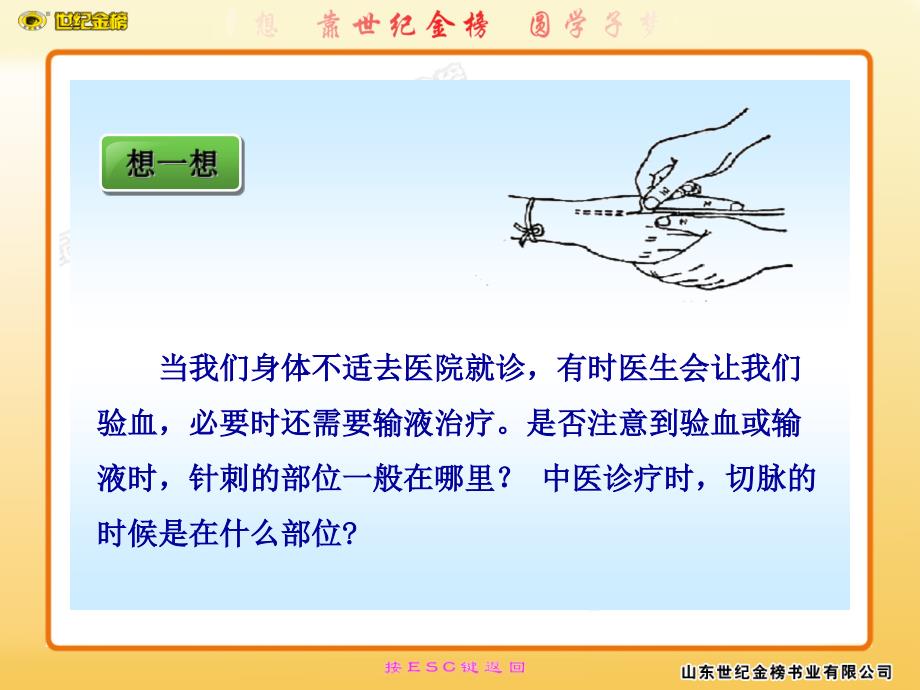 血流的管道血管PPT课件.ppt_第2页