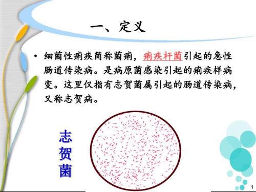 细菌性痢疾患者的护理.ppt