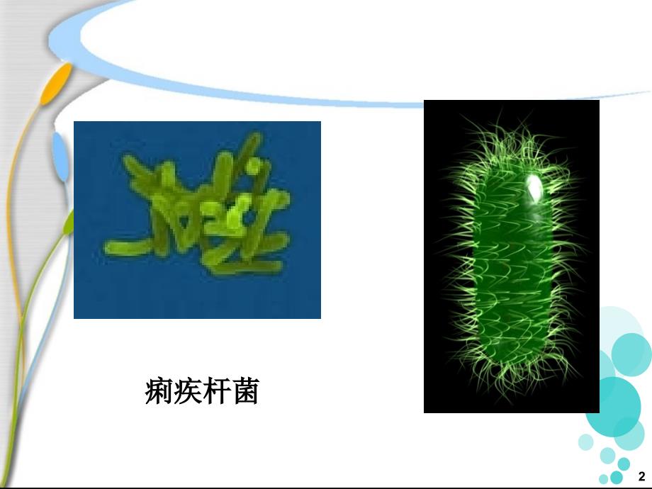 细菌性痢疾患者的护理.ppt_第2页