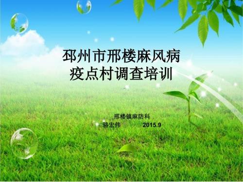 邢楼镇麻风病疫点村调查.ppt