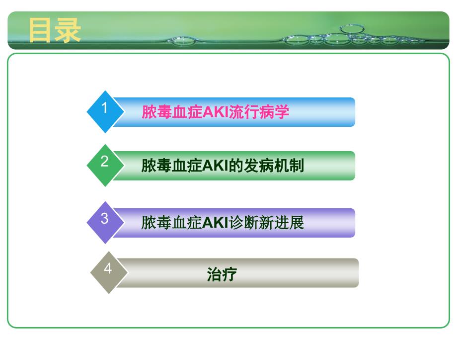 脓毒血症AKIPPT课件.ppt_第2页