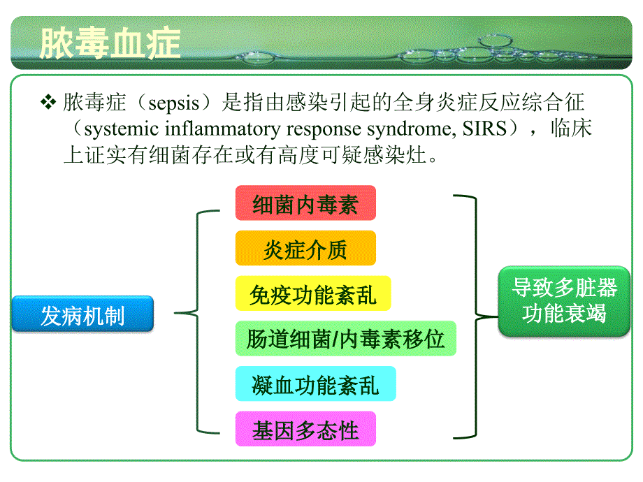 脓毒血症AKIPPT课件.ppt_第3页