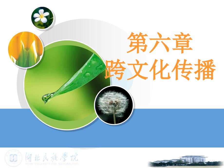 第六章跨文化传播.ppt_第1页