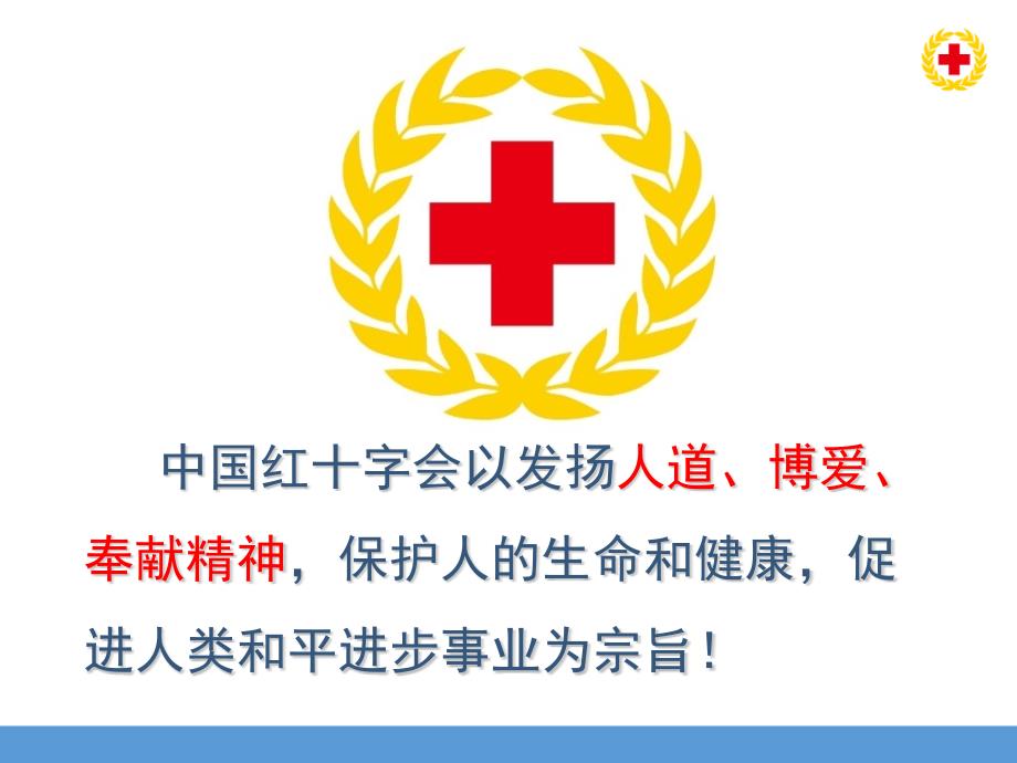 红十字应急救护知识和技能PPT.pptx_第3页