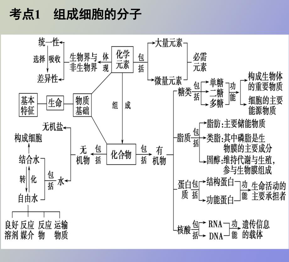 高三生物二轮专题复习.ppt_第2页