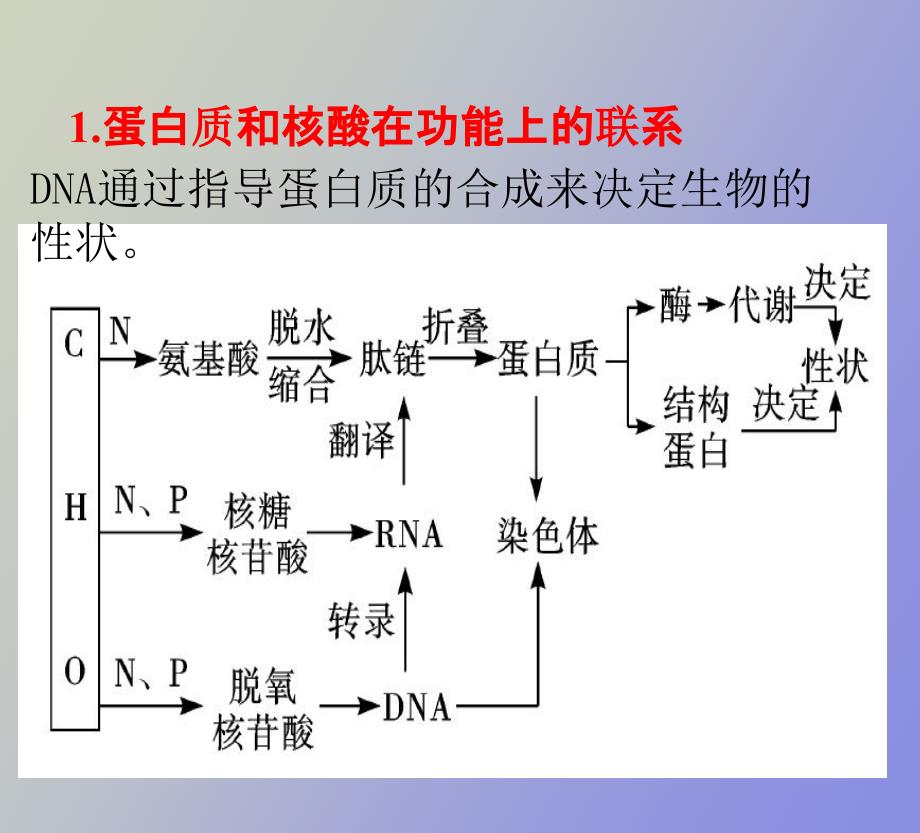 高三生物二轮专题复习.ppt_第3页