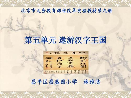 遨游汉字王国正式版教材分析.ppt