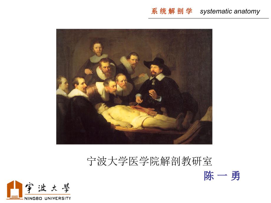 系统解剖学全套课件.ppt_第1页