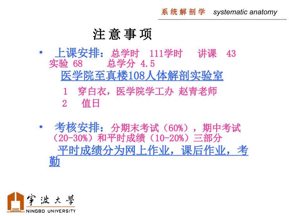 系统解剖学全套课件.ppt_第2页