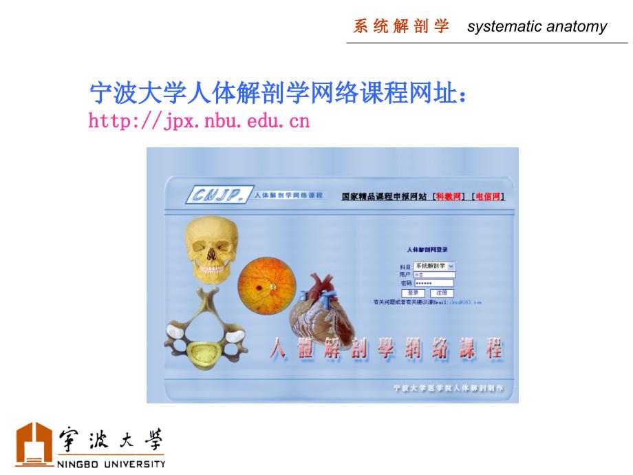 系统解剖学全套课件.ppt_第3页