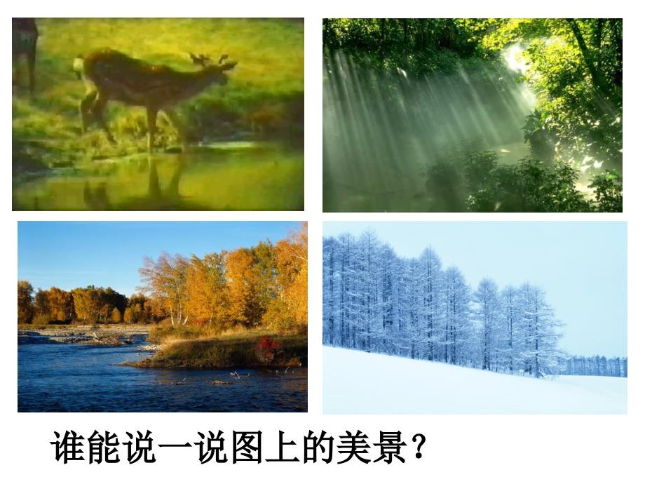 美丽的小兴安岭课件.ppt_第3页
