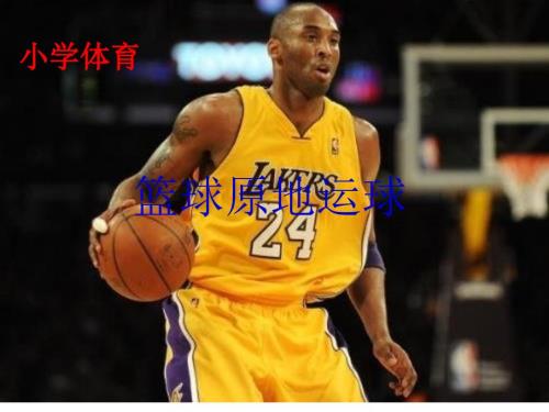 篮球原地运球PPT课件.ppt