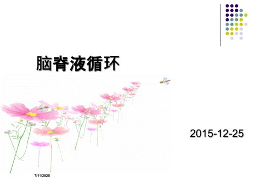 脑脊液的循环PPT课件.ppt