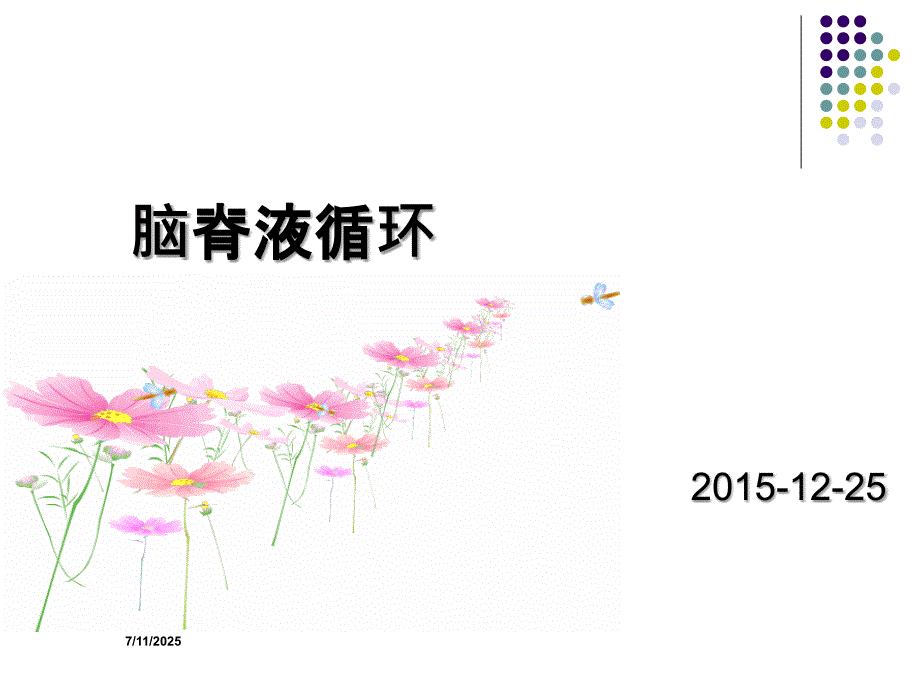 脑脊液的循环PPT课件.ppt_第1页