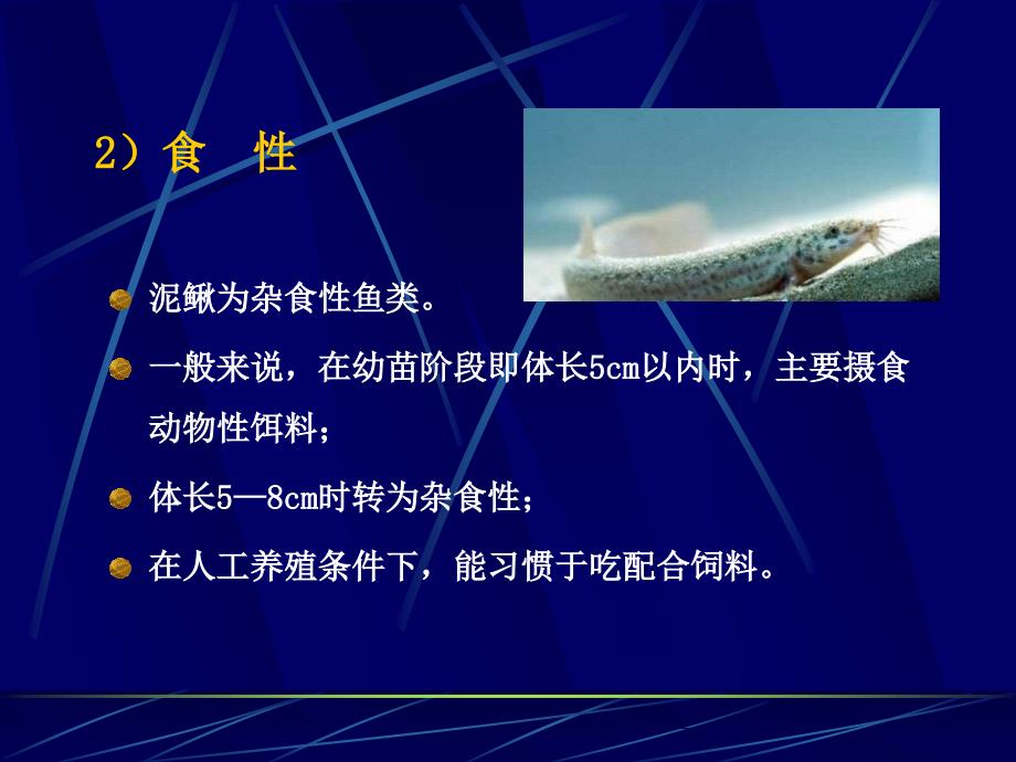 稻田养殖泥鳅技术PPT课件.ppt_第3页
