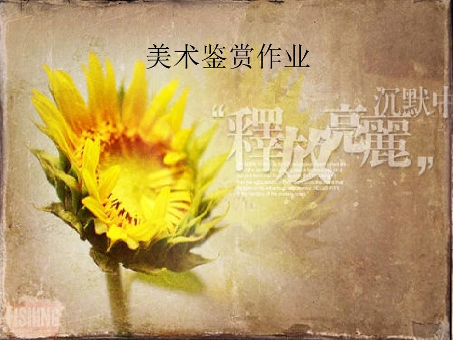 美术鉴赏向日葵梵高.ppt_第1页