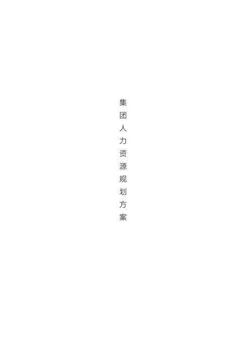 迈克药业集团人力资源规划方案.doc