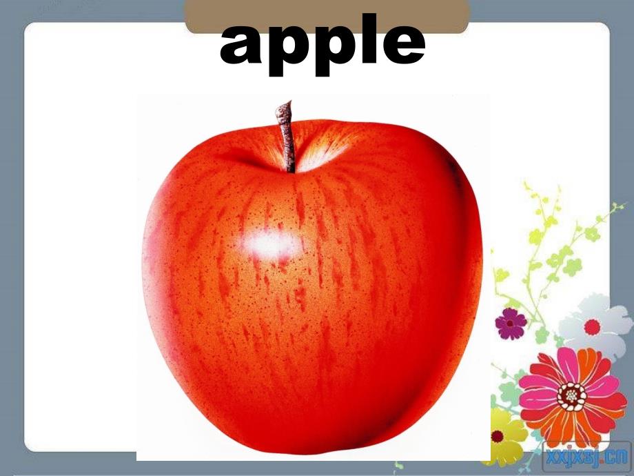 英文字母单词及图片.ppt_第3页