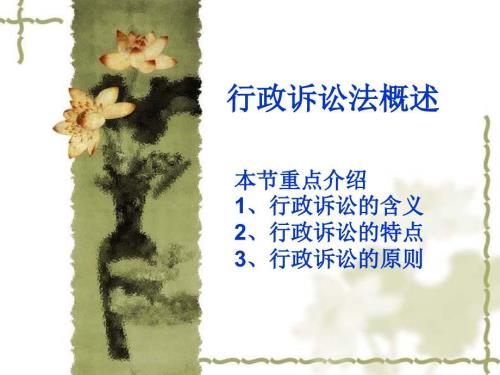 行政诉讼法概述PPT课件.ppt