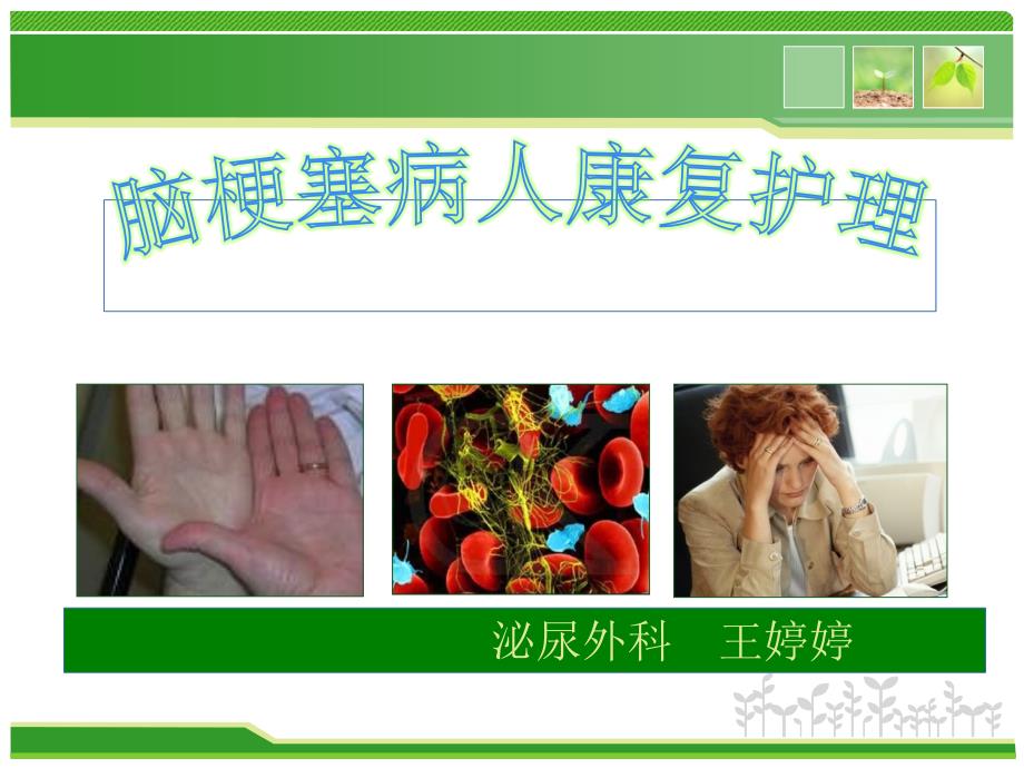 脑梗塞的护理PPT课件.ppt_第1页