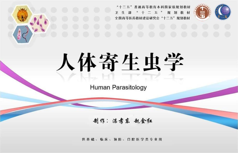 链状带绦虫肥胖带绦虫.ppt_第2页