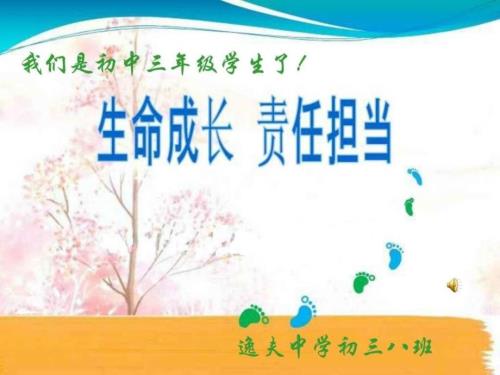 责任与担当主题班会.ppt