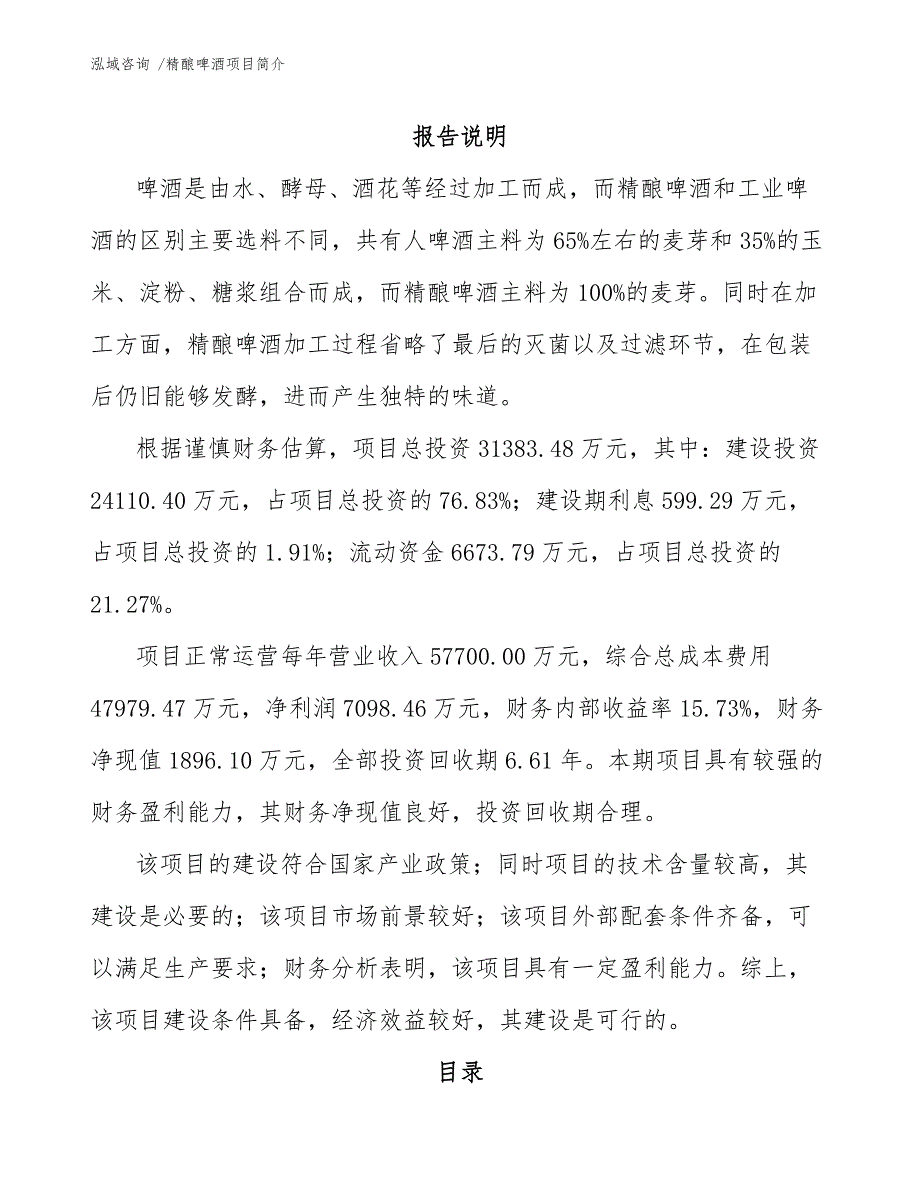精酿啤酒项目简介模板范本.docx_第2页