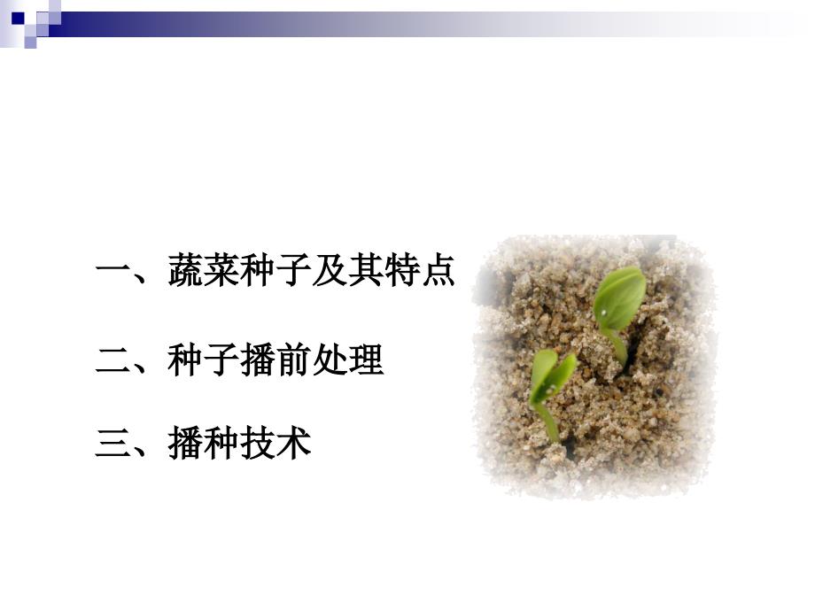 蔬菜播种与育苗技术.ppt_第3页