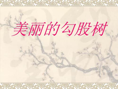 美丽的勾股树PPT.ppt