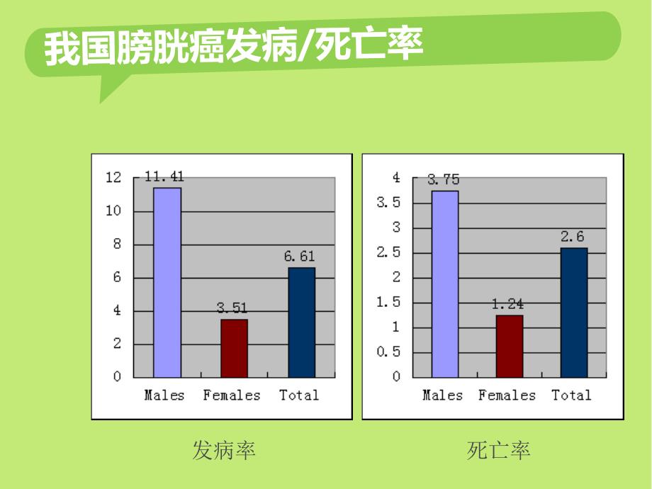 非肌层浸润性膀胱癌的诊断治疗.ppt_第3页
