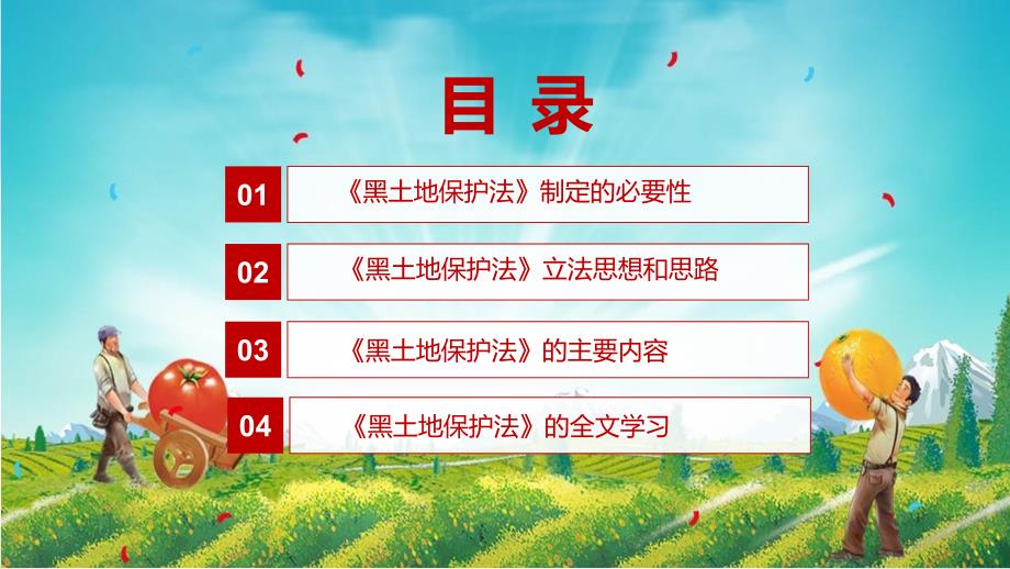 黑土地保护法全文解读中华人民共和国黑土地保护法解析PPT.pptx_第3页