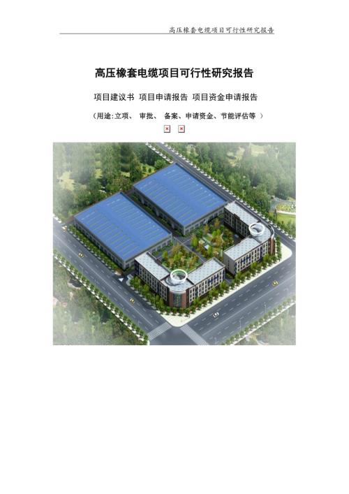 高压橡套电缆项目可行性研究报告可编辑案例.doc