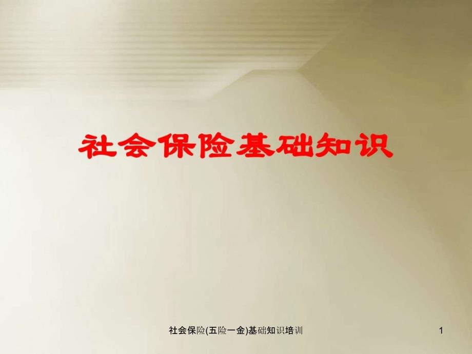 社会保险五险一金基础知识培训课件.ppt_第1页