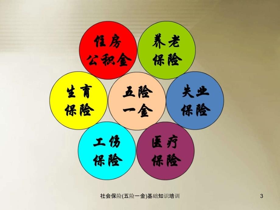社会保险五险一金基础知识培训课件.ppt_第3页