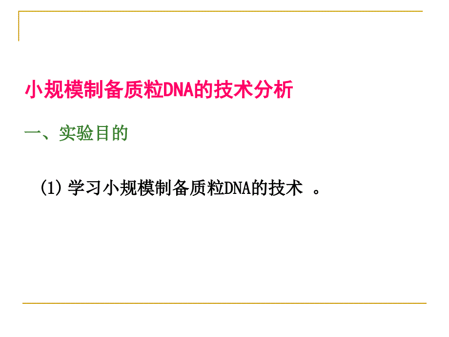 质粒DNA提取PPT课件.ppt_第1页