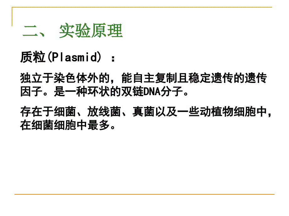 质粒DNA提取PPT课件.ppt_第2页