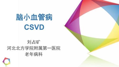 脑小血管病ppt课件.pptx