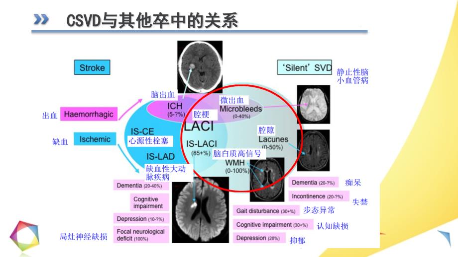 脑小血管病ppt课件.pptx_第3页