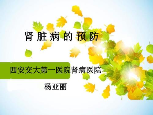 肾脏病的预防PPT课件.ppt