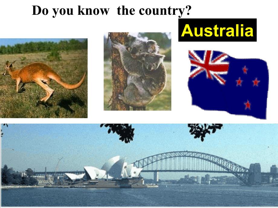 英语公开课PPT课件.ppt_第3页