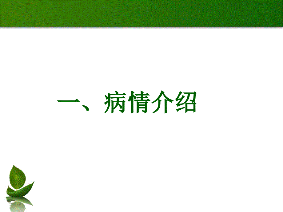脑挫裂伤护理查房PPT课件.ppt_第2页