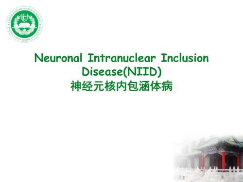 神经元核内包涵体病NIID课件.pptx